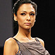 Shamita Singha at LFW Summer Resort-2011