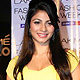 LFW Winter-Festive-2011-Guests