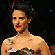 Neha Dhupia at LFW Winter-Festive-2011