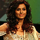 Shibani Dandekar at LFW Winter-Festive-2011