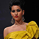 Lakme Fashion Week-2010