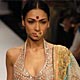 Lakme Fashion Week Spring/Summer 2010