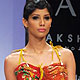 Lakme Fashion Week Summer-Resort 2010