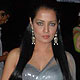 Celina Jaitley at Lakme Fashion Week Summer-Resort 2010