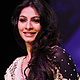 Tanisha at Lakme Fashion Week Summer-Resort-2012