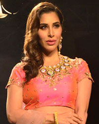 Sophie Choudry at Lakme Fashion Week Winter Festive 2018