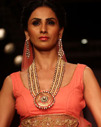 Moni Agarwal Show at IIJW 2014