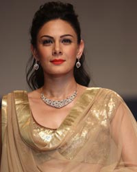 Aanchal Kumar at Nazraana Show by Rio Tinto at IIJW 2014