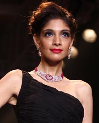 PN Gadgil Jewellers Show at IIJW 2014