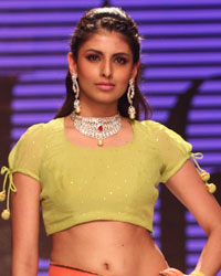 Preeti Show at IIJW 2014 Preeti Show at IIJW 2014