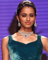Preeti Show at IIJW 2014 Preeti Show at IIJW 2014