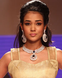 Preeti Show at IIJW 2014 Preeti Show at IIJW 2014