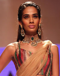 Preeti Show at IIJW 2014 Preeti Show at IIJW 2014