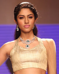 Preeti Show at IIJW 2014 Preeti Show at IIJW 2014