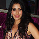 Sophie Choudhary at Shane-Falguni Show-2011