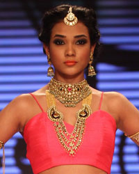 Shobha Shringar Show at IIJW 2014