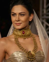 Aanchal Kumar at Shree Raj Mahal Jewellers Show at ICW 2014