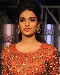 Nidhhi Agerwal at The Wedding Junction Show