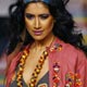 A model presents a creation from Indian designer Rina Dhaka`s Spring/Summer 2009 collection