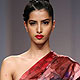 Wills India Fashion Week 2012
