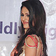 Anjana Sukhani at World Tourism Day