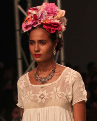 Aneeth Arora Show at Wills India Fashion Week Spring Summer 2015