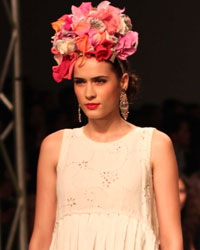 Aneeth Arora Show at Wills India Fashion Week Spring Summer 2015