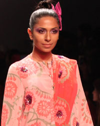 Anupama Dayal Show at Wills India Fashion Week Spring Summer 2015