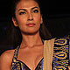 Blenders Pride Fashion Show-2011