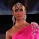 Blenders Pride Fashion Show-2011