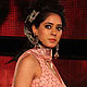 Blenders Pride Fashion Show-2011