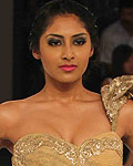 Blenders Pride Fashion Tour 2012