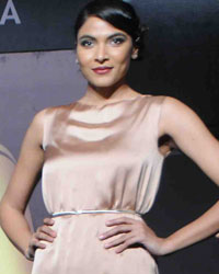 Blenders Pride Fashion Tour 2013