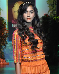 Blenders Pride Bangalore Fashion Week 10th edition