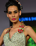 Blender's Pride Fashion Week , Kolkata 2012