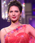 Aamby Valley India Bridal Fashion Week 2012