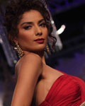 Aamby Valley India Bridal Fashion Week 2012