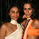 Celebrity Guests at LFW