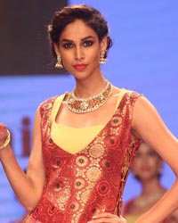 Dipti Amisha Show at IIJW 2014