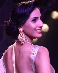 Dipti Amisha Show at IIJW 2014