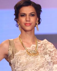 Dipti Amisha Show at IIJW 2014