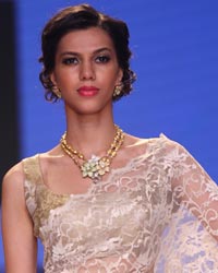 Dipti Amisha Show at IIJW 2014