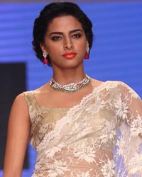 Dipti Amisha Show at IIJW 2014