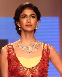 Dipti Amisha Show at IIJW 2014