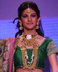 Dipti Amisha Show at IIJW 2014