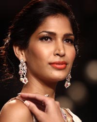 Dipti Amisha Show at IIJW 2014