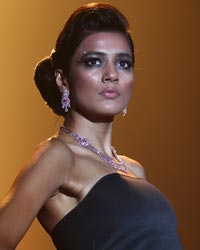 Emerland Show at IIJW 2014