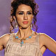 Unveiling of Swarovski Gems' special 'Gem Visions India Project 2012'