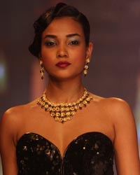 Gitanjali Gems Show at IIJW 2014