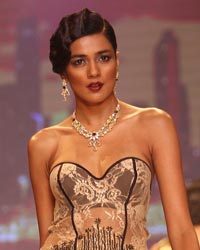 Gitanjali Gems Show at IIJW 2014